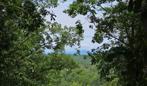 Photo #1 of Maury Place, Appomattox, VA 33.9 acres