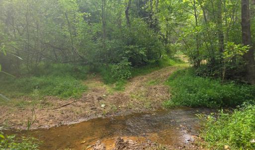 Photo #18 of Maury Place, Appomattox, VA 33.9 acres