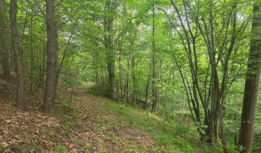 Photo #4 of Maury Place, Appomattox, VA 33.9 acres