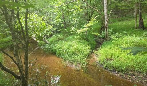 Photo #17 of Maury Place, Appomattox, VA 33.9 acres