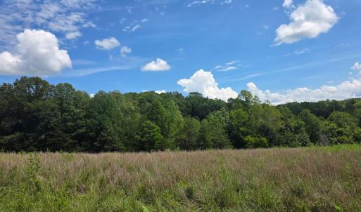 Photo #31 of Maury Place, Appomattox, VA 33.9 acres