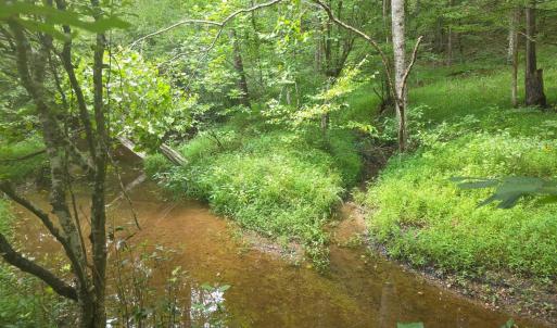Photo #16 of Maury Place, Appomattox, VA 33.9 acres