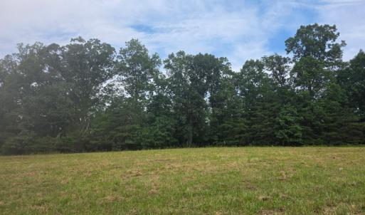 Photo #6 of Maury Place, Appomattox, VA 33.9 acres
