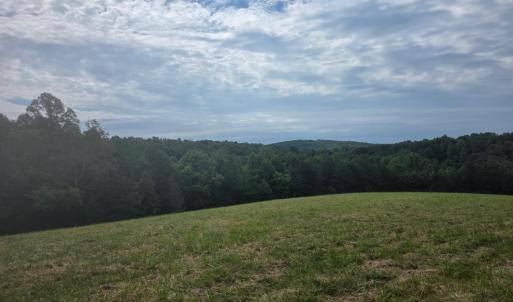Photo #7 of Maury Place, Appomattox, VA 33.9 acres