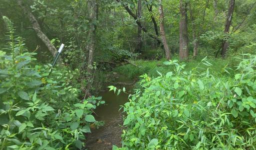 Photo #9 of Maury Place, Appomattox, VA 33.9 acres