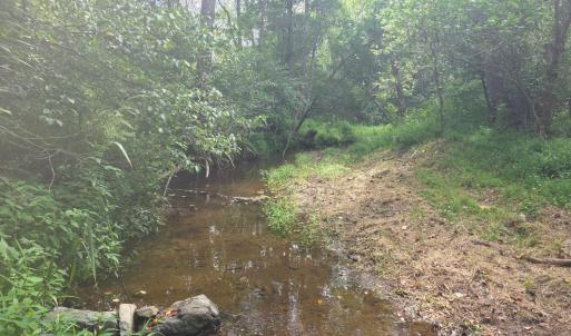 Photo #19 of Maury Place, Appomattox, VA 33.9 acres