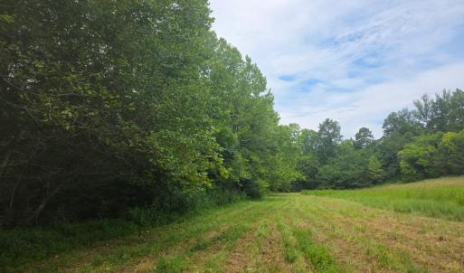 Photo #3 of Maury Place, Appomattox, VA 33.9 acres