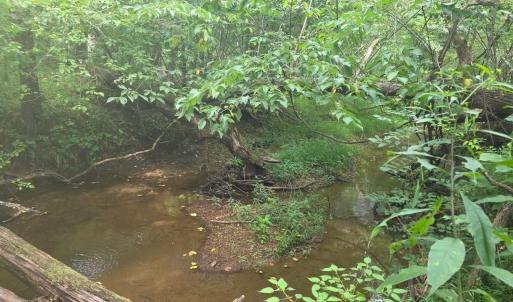 Photo #10 of Maury Place, Appomattox, VA 33.9 acres