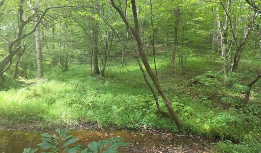 Photo #15 of Maury Place, Appomattox, VA 33.9 acres