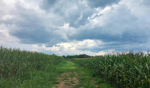 Photo #3 of Aspen Wall Road, Brookneal, VA 115.3 acres