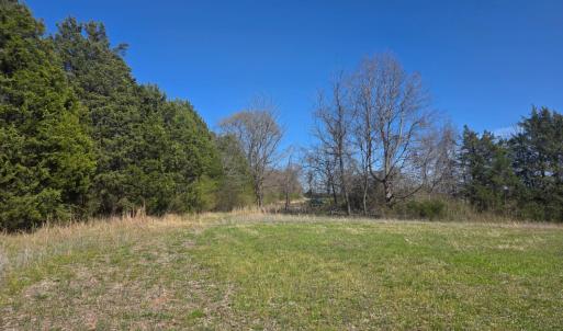 Photo #13 of Aspen Wall Road, Brookneal, VA 115.3 acres