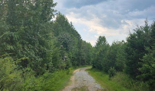 Photo #5 of Aspen Wall Road, Brookneal, VA 115.3 acres