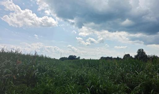 Photo #4 of Aspen Wall Road, Brookneal, VA 115.3 acres