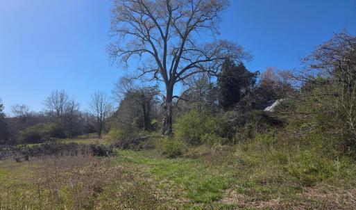 Photo #11 of Aspen Wall Road, Brookneal, VA 115.3 acres