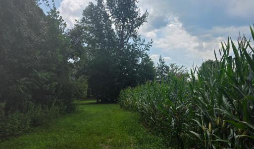 Photo #1 of Aspen Wall Road, Brookneal, VA 115.3 acres
