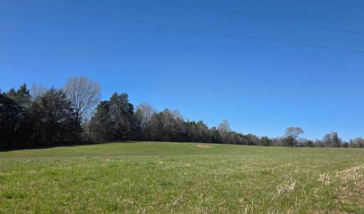 Photo #8 of Aspen Wall Road, Brookneal, VA 115.3 acres