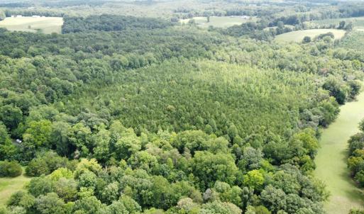 Photo #1 of Wheelers Spring Rd, Pamplin, VA 16.6 acres