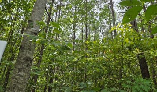Photo #1 of Miller Camp Road, Buckingham, VA 217.8 acres