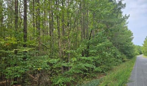 Photo #2 of Miller Camp Road, Buckingham, VA 217.8 acres