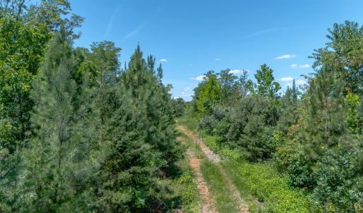 Photo #6 of Goggin Ford Road, Bedford, VA 20.0 acres