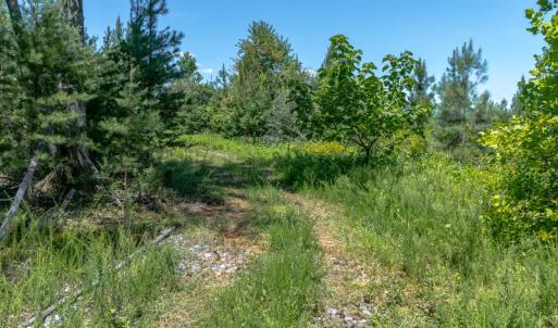 Photo #4 of Goggin Ford Road, Bedford, VA 20.0 acres