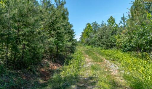 Photo #5 of Goggin Ford Road, Bedford, VA 20.0 acres