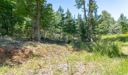 Photo #7 of Goggin Ford Road, Bedford, VA 20.0 acres