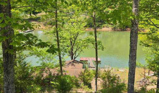 Photo #2 of Trellis Ridge Drive, Lynch Station, VA 1.9 acres
