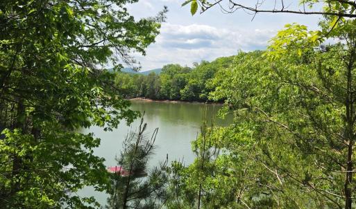 Photo #5 of Trellis Ridge Drive, Lynch Station, VA 1.9 acres