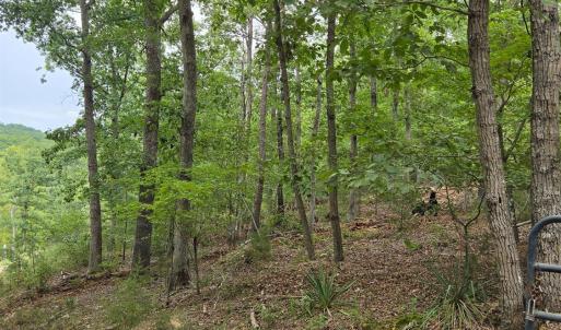 Photo #11 of Trellis Ridge Drive, Lynch Station, VA 1.9 acres