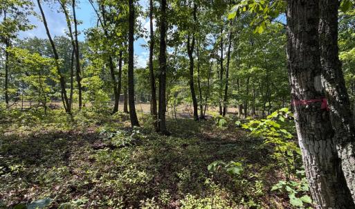 Photo #8 of Bent Creek Lot 3 Road, Concord, VA 1.1 acres
