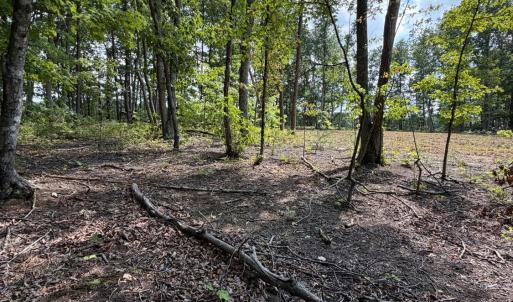 Photo #10 of Bent Creek Lot 3 Road, Concord, VA 1.1 acres