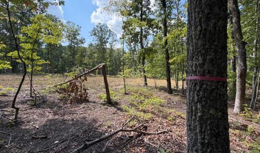 Photo #9 of Bent Creek Lot 3 Road, Concord, VA 1.1 acres