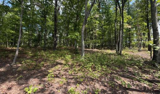 Photo #12 of Bent Creek Lot 1, Concord, VA 1.3 acres