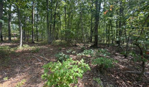Photo #5 of Bent Creek Lot 1, Concord, VA 1.3 acres