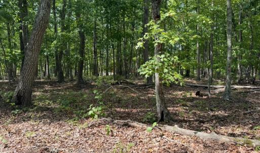 Photo #2 of Bent Creek Lot 1, Concord, VA 1.3 acres