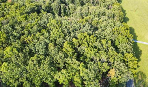 Photo #16 of Bent Creek Lot 1, Concord, VA 1.3 acres