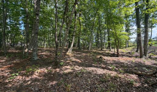 Photo #8 of Bent Creek Lot 1, Concord, VA 1.3 acres