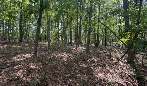 Photo #4 of Bent Creek Lot 1, Concord, VA 1.3 acres