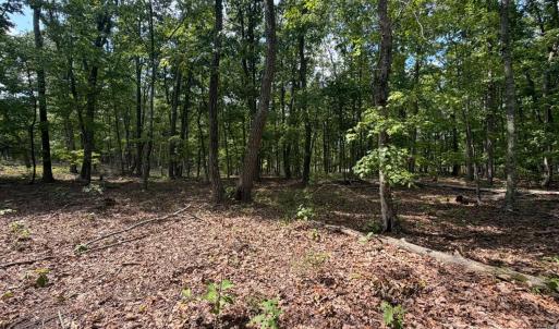 Photo #7 of Bent Creek Lot 1, Concord, VA 1.3 acres