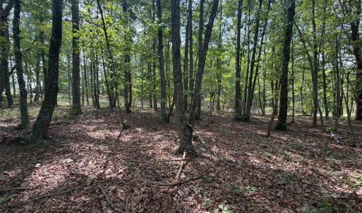 Photo #3 of Bent Creek Lot 1, Concord, VA 1.3 acres