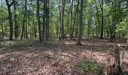 Photo #1 of Bent Creek Lot 1, Concord, VA 1.3 acres