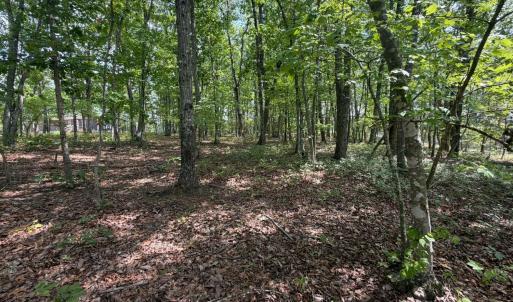 Photo #11 of Bent Creek Lot 1, Concord, VA 1.3 acres
