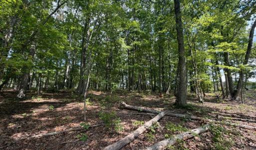 Photo #6 of Bent Creek Lot 1, Concord, VA 1.3 acres