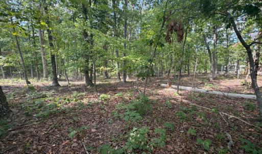Photo #9 of Bent Creek Lot 1, Concord, VA 1.3 acres