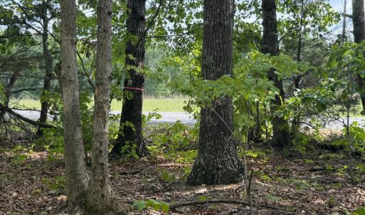 Photo #10 of Bent Creek Lot 1, Concord, VA 1.3 acres