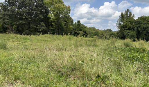 Photo #5 of Third Street, Farmville, VA 4.7 acres