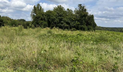 Photo #6 of Third Street, Farmville, VA 4.7 acres