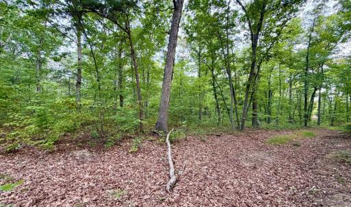 Photo #2 of Bent Creek A Road, Concord, VA 40.0 acres