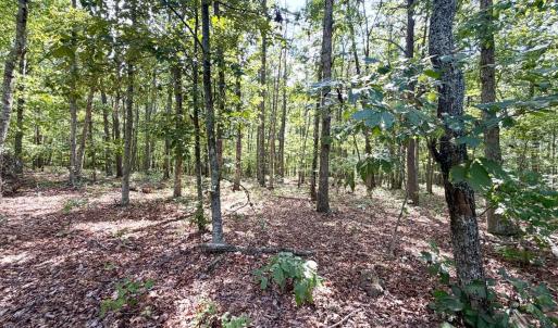Photo #16 of Bent Creek A Road, Concord, VA 40.0 acres